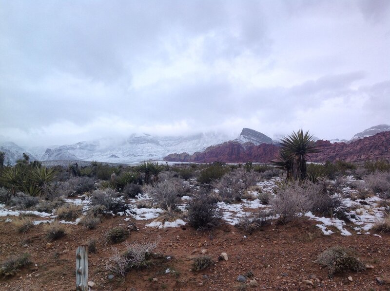 Snow-covered Desert Landscape — Gray