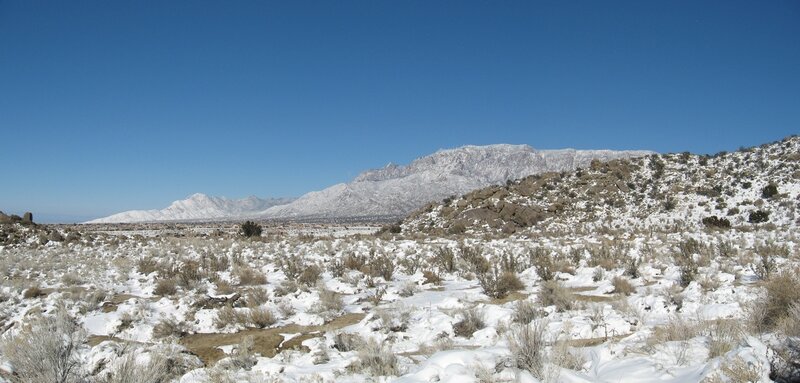 Snow-covered desert landscape