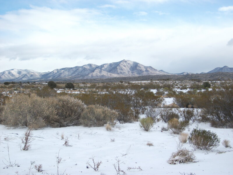 Snow-covered Desert Landscape — White