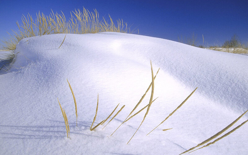 Snow-covered Dune with Grass — White