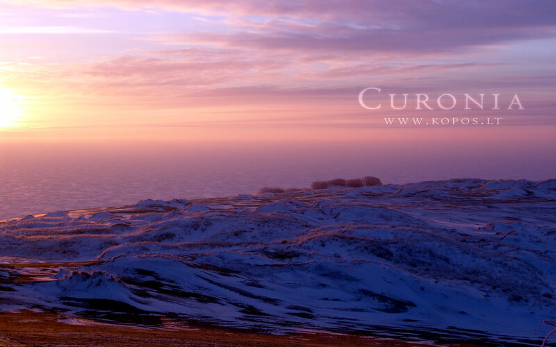 Snow-covered Dunes at Sunrise