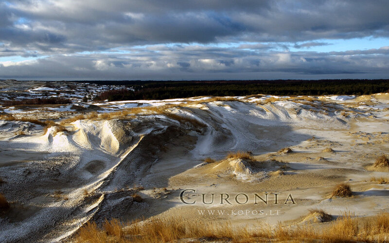 Snow-covered Dunes