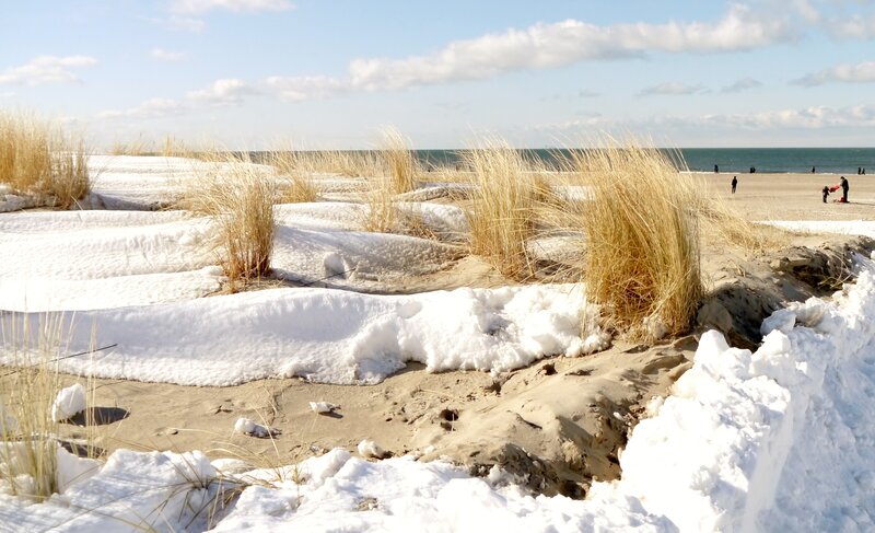 Snow-covered Dunes — White, Calm
