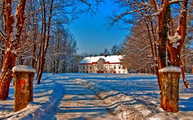 Snow-covered Estate — Blue