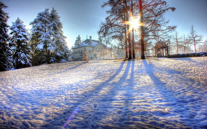 Snow-covered Estate