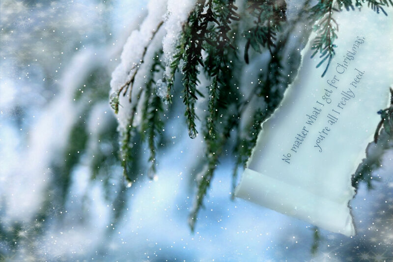 Snow-covered Evergreen Branch — White