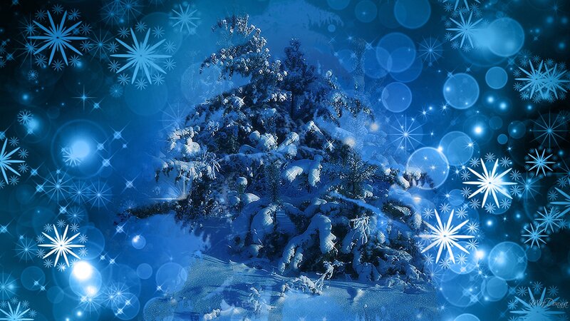 Snow-covered Evergreen Tree — Blue, Festive