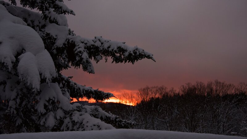 Snow-covered Evergreen Tree — White, Serene, Sunset