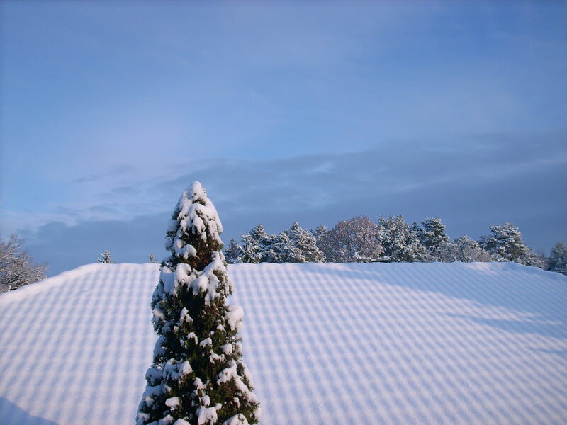 Snow-covered Evergreen Tree — White, Serene, Winter, Photograph