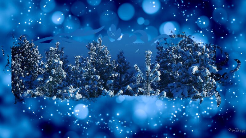 Snow-covered Evergreen Trees — Blue, Serene, Night, Digital Art