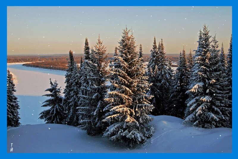 Snow-covered Evergreen Trees — Blue, Serene, Winter, Photograph, River