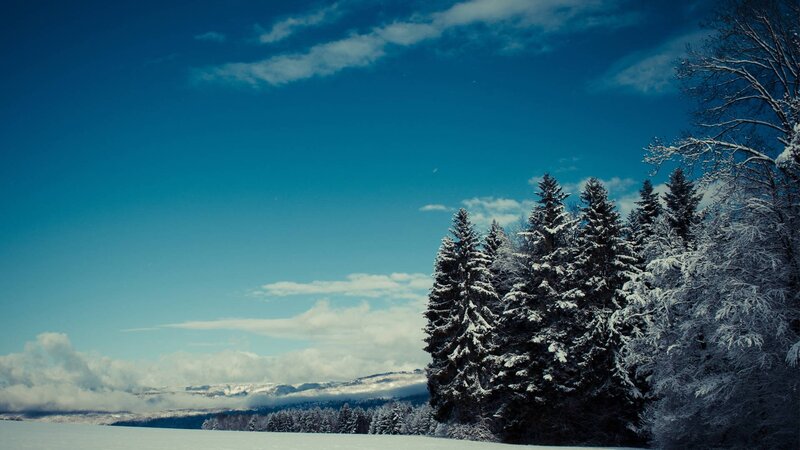 Snow-covered Evergreen Trees — Blue, Serene, Winter, Photograph, Snow, Mountains, Clouds