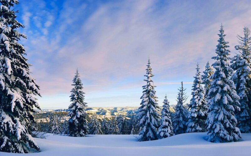 Snow-covered Evergreen Trees — Blue, Serene, Winter, Photograph, Snow, Mountains, Sky