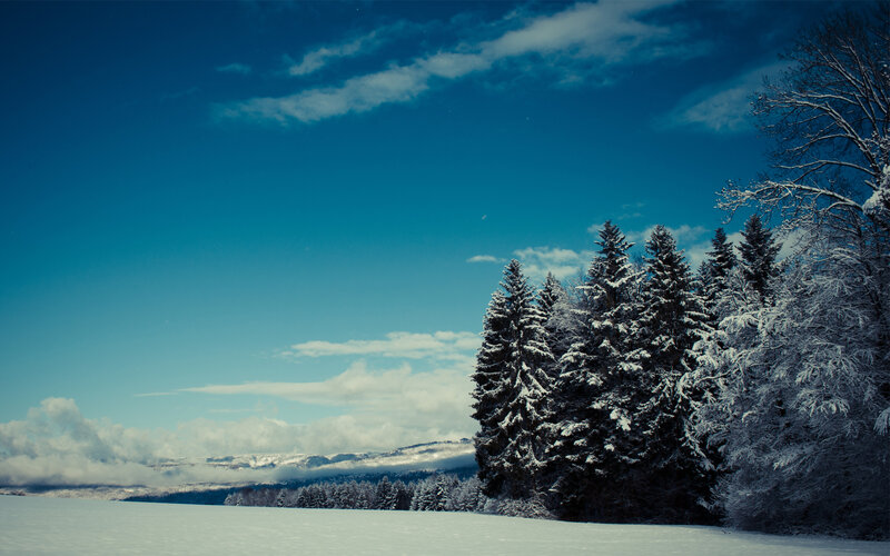 Snow-covered Evergreen Trees — Blue, Serene, Winter, Photograph, Snow, Mountains