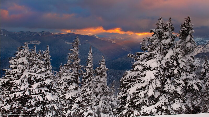 Snow-covered Evergreen Trees — White, Dramatic, Sunset, Photograph, Mountains