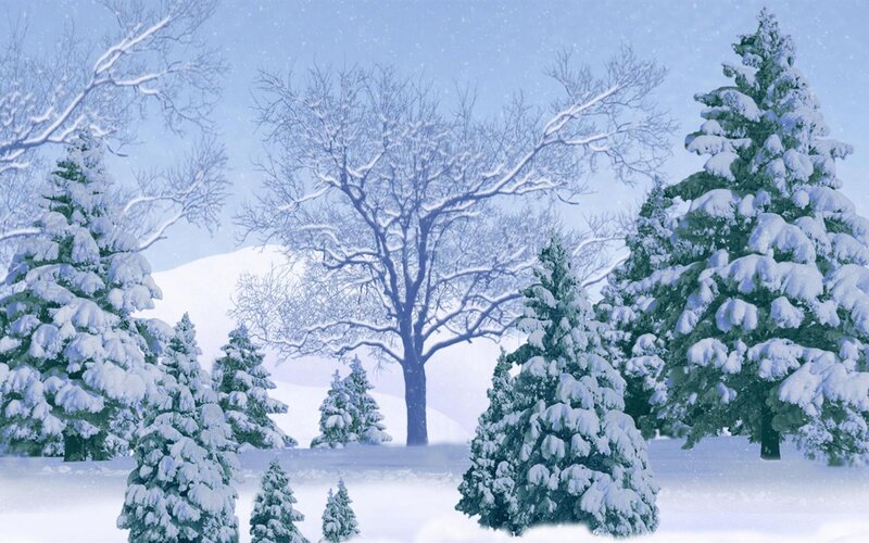Snow-covered Evergreen Trees — White, Serene, Winter, Digital Art, Snow