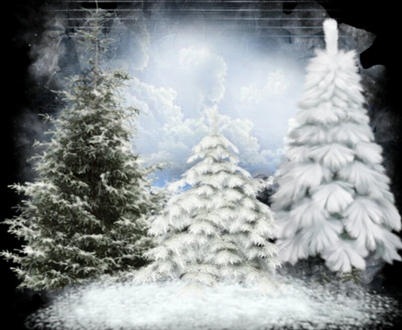 Snow-covered Evergreen Trees — White, Serene, Winter, Digital Art