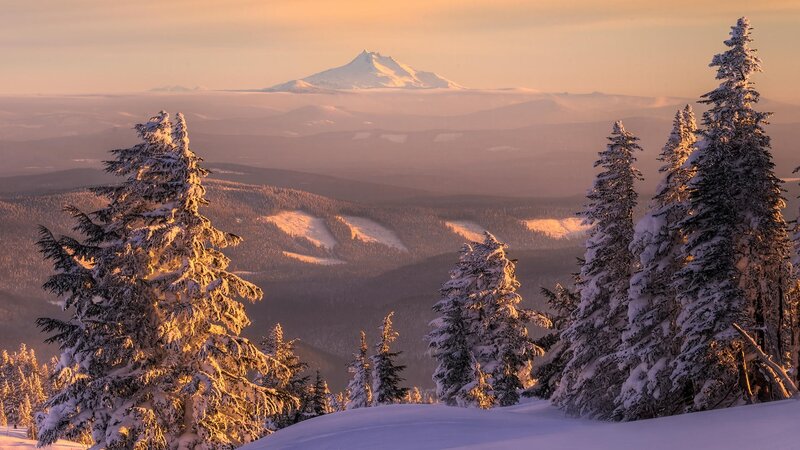 Snow-covered Evergreen Trees — White, Serene, Winter, Photograph, Mountain, Snow, Forest, Orange