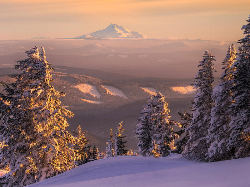 Snow-covered Evergreen Trees — White, Serene, Winter, Photograph, Mountain, Snow