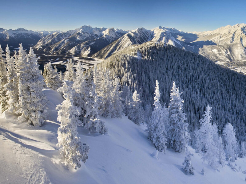 Snow-covered Evergreen Trees — White, Serene, Winter, Photograph, Mountains, Forest, River Valley