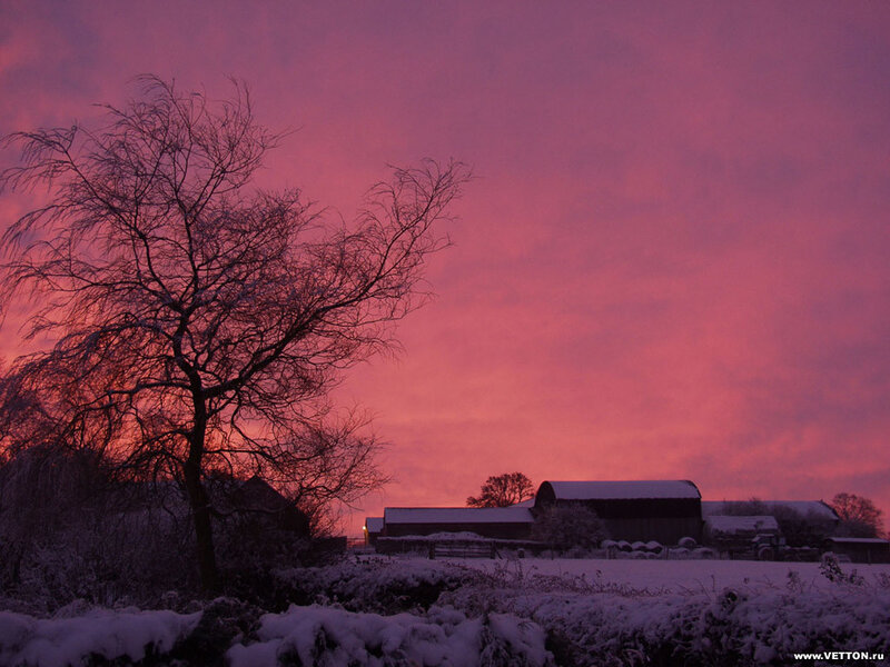 Snow-covered Farm at Dusk — Pink