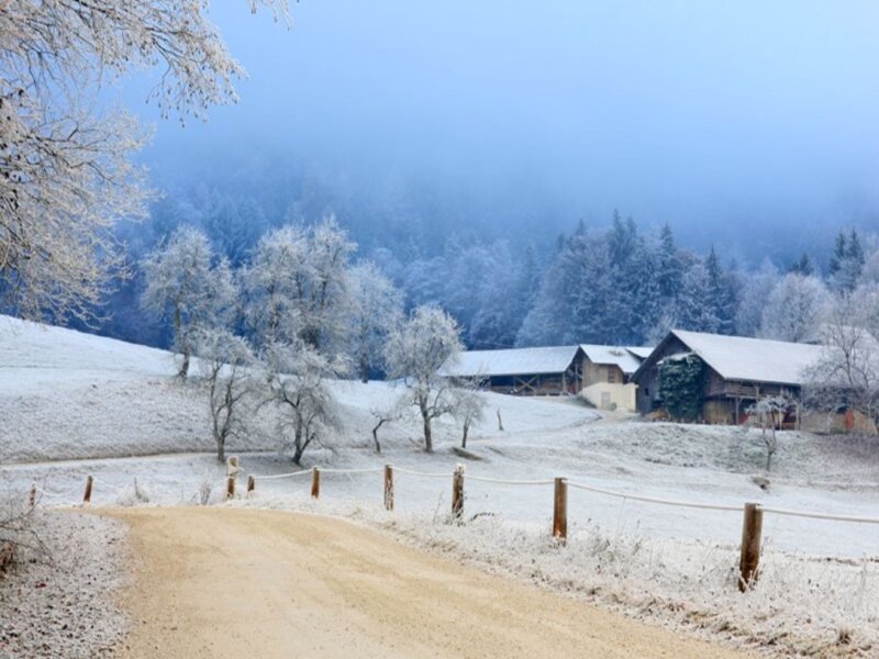 Snow-covered Farm Buildings