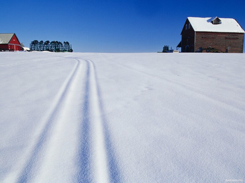 Snow-covered Farm Field — White