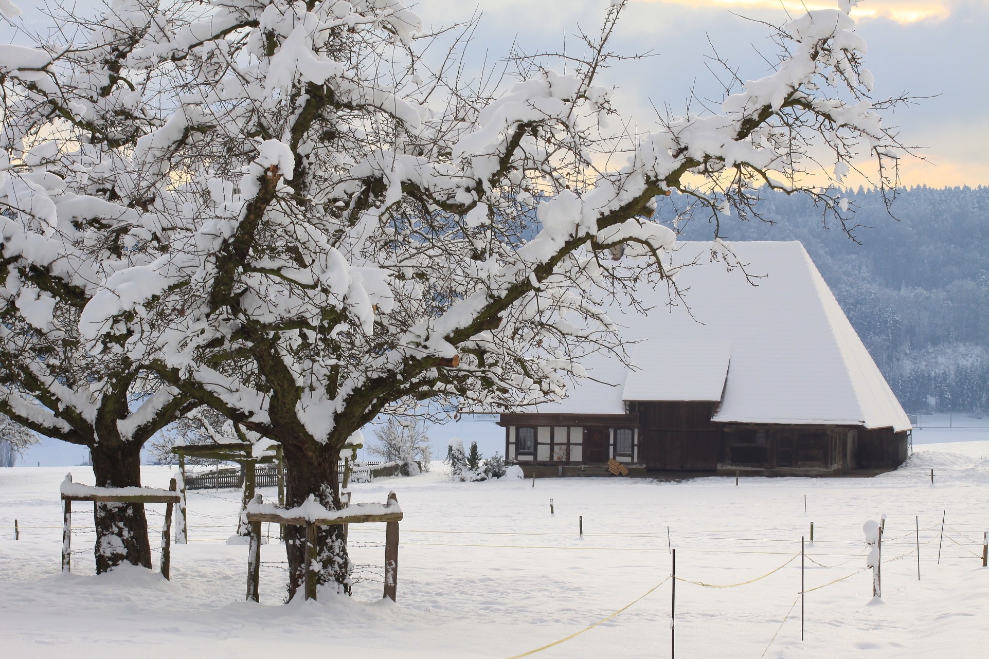 Snow-covered farm in winter