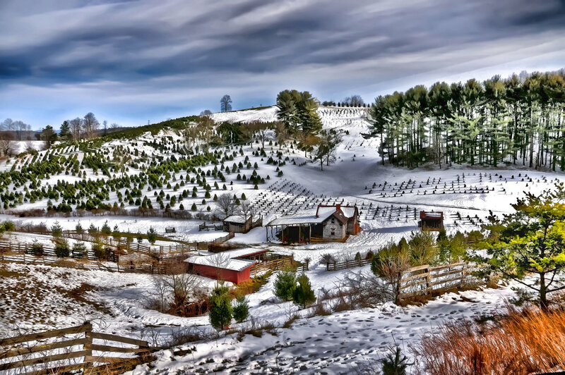 Snow-covered Farm Landscape