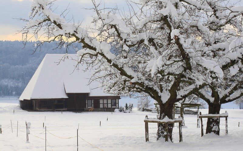 Snow-covered Farmhouse — White
