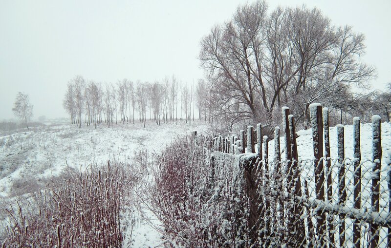 Snow-covered Fence and Trees — White, Cold