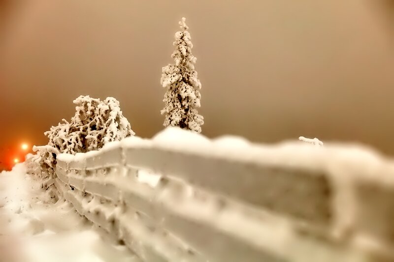 Snow-covered Fence and Trees — White, Serene, Winter, Photograph, Snow
