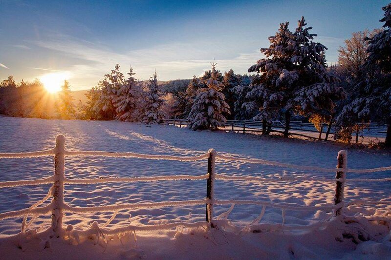 Snow-covered Fence and Trees — White, Serene, Winter, Photograph, Sun