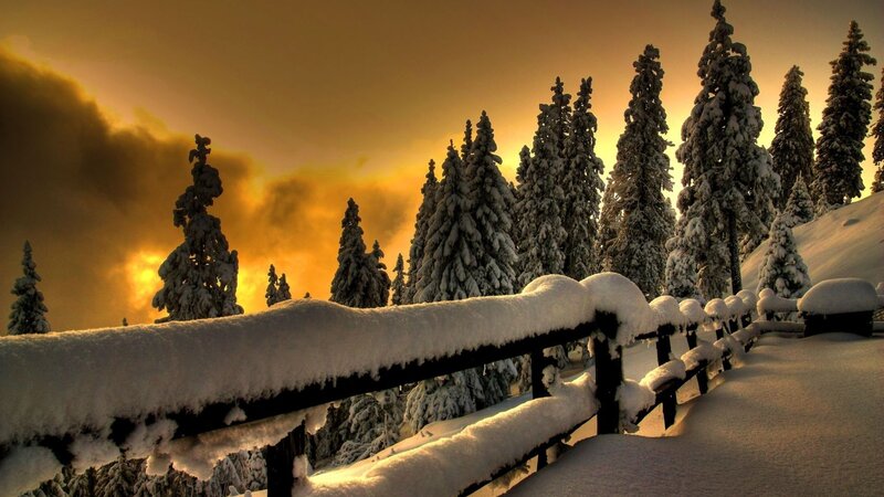 Snow-covered Fence and Trees — Yellow, Dramatic, Sunset
