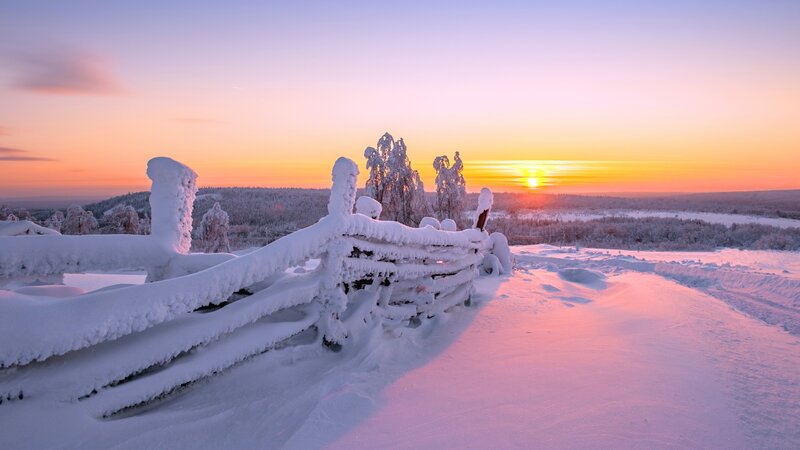 Snow-covered Fence at Sunset — Pink, Serene