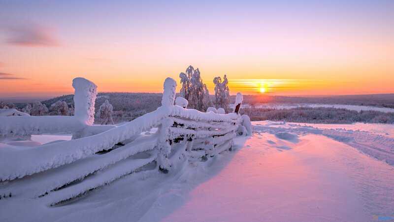 Snow-covered Fence at Sunset — Pink