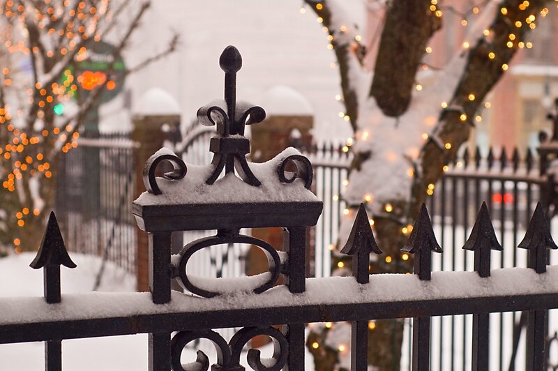 Snow-covered Fence — Black, Calm