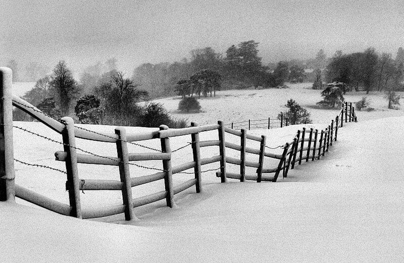Snow-covered Fence — Black