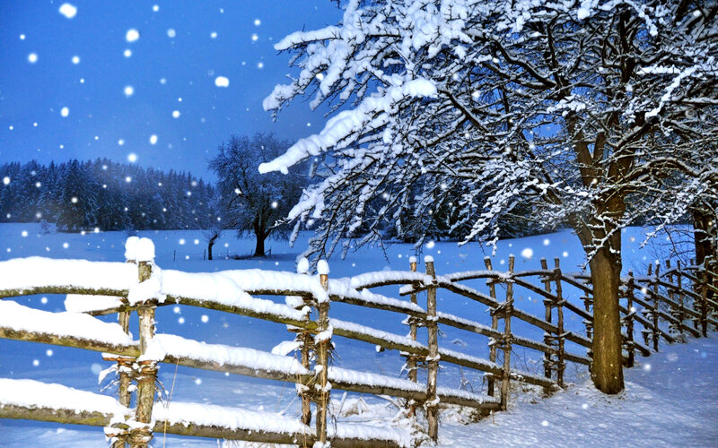 Snow-covered Fence — Blue, Serene