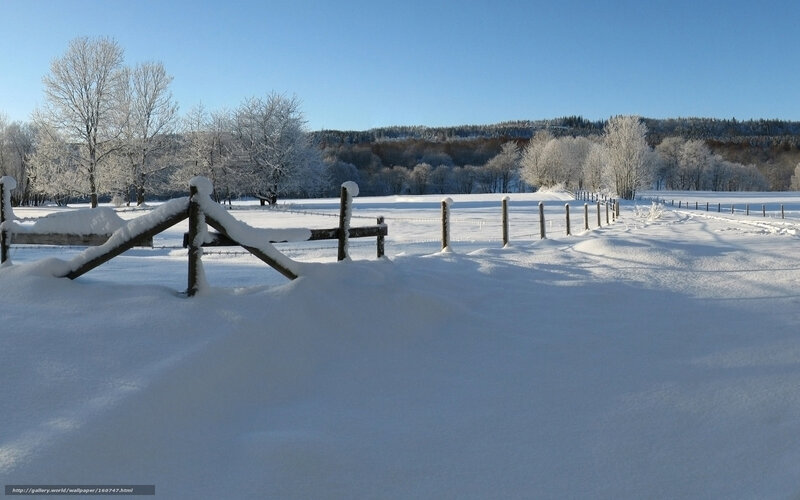 Snow-covered Fence in Field