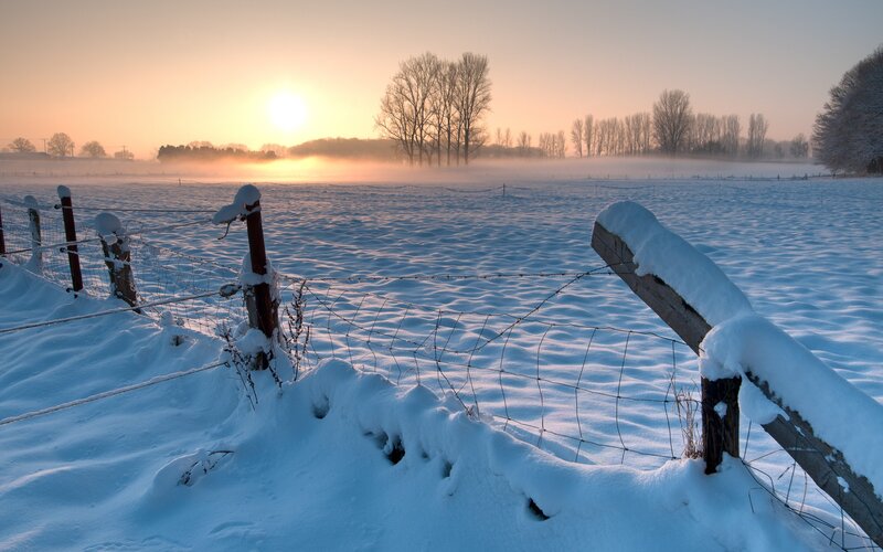 Snow-covered Fence in Field — White, Serene, Winter, Photograph