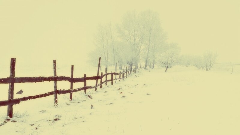 Snow-covered Fence in Field — White