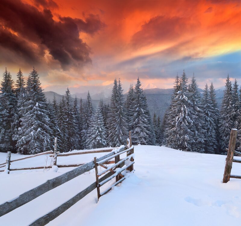 Snow-covered Fence in Forest — White