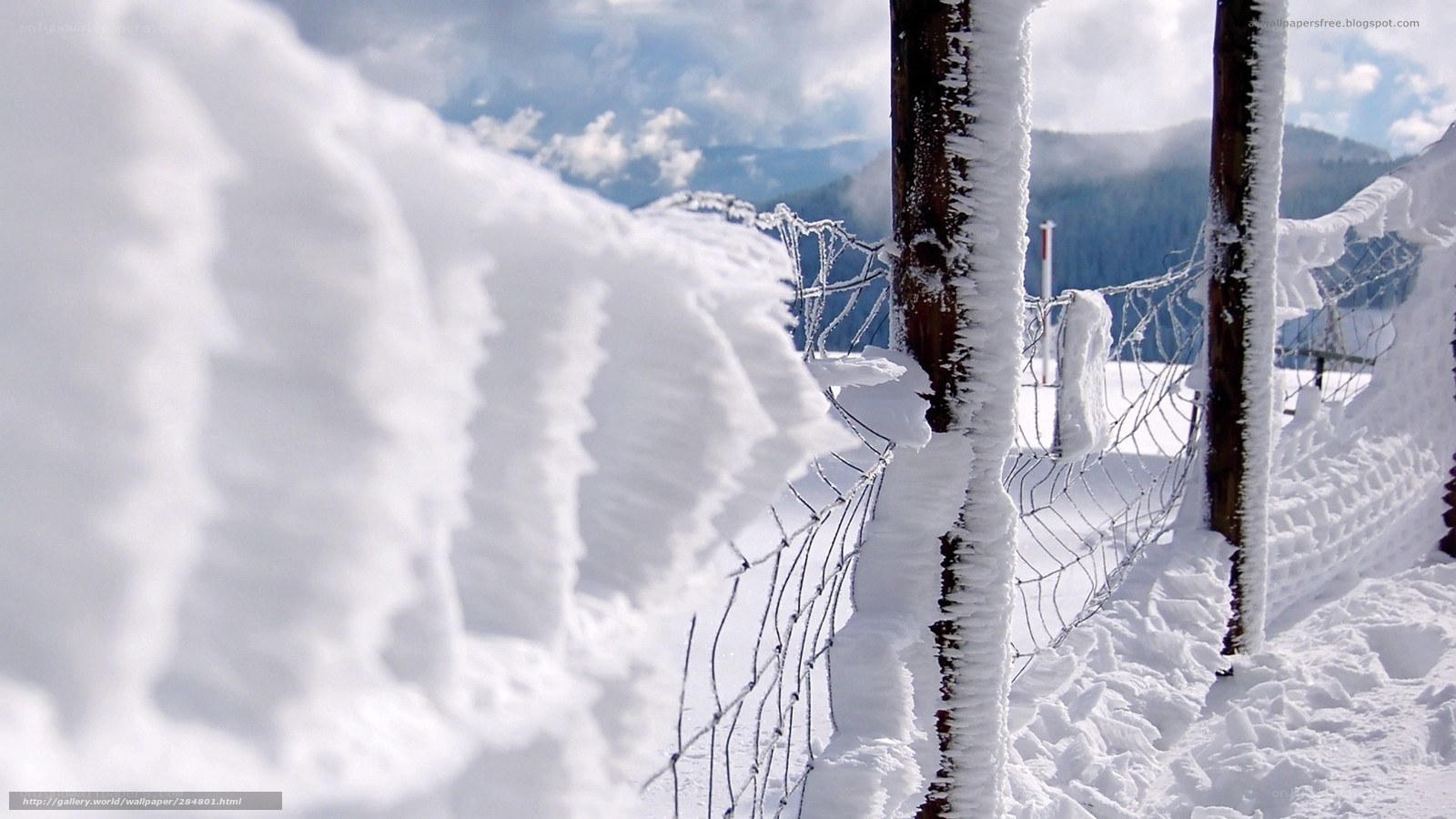 Snow-covered fence in mountains