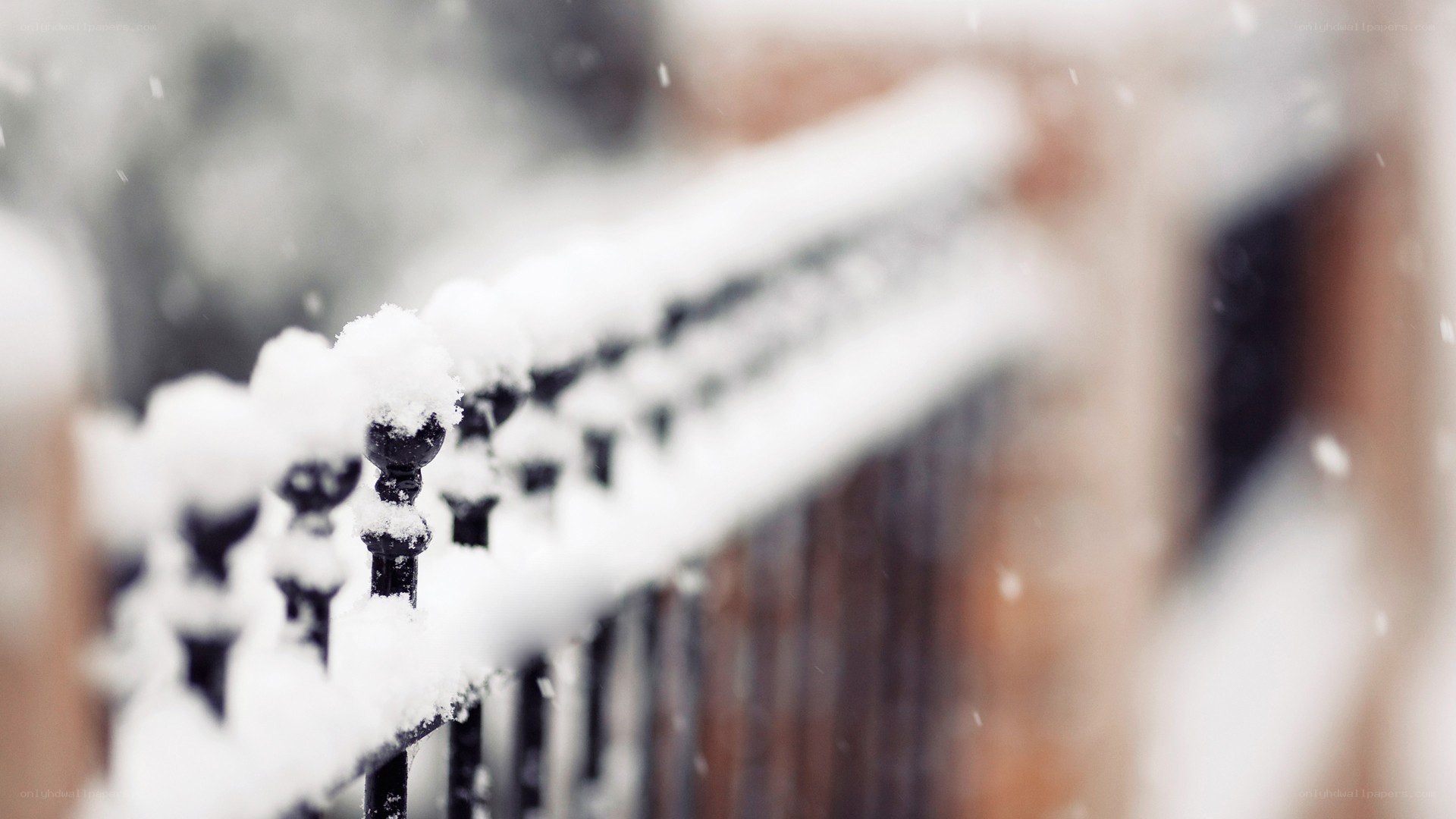 Snow-covered fence in winter