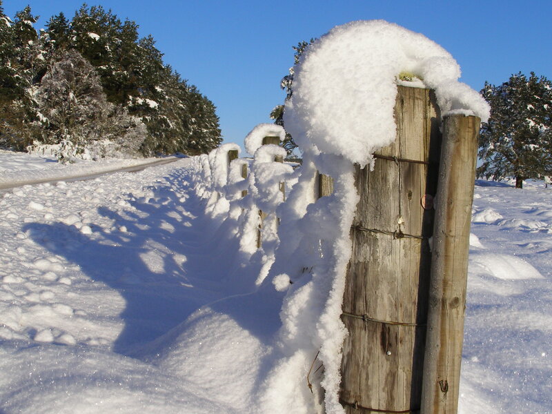 Snow-covered fence in winter