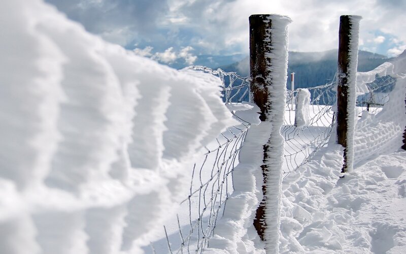 Snow-covered fence in winter