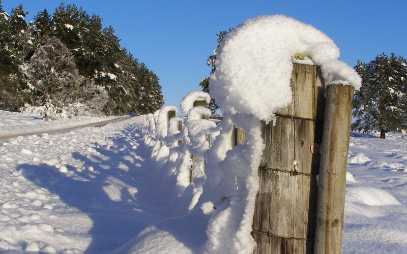 Snow-covered fence in winter