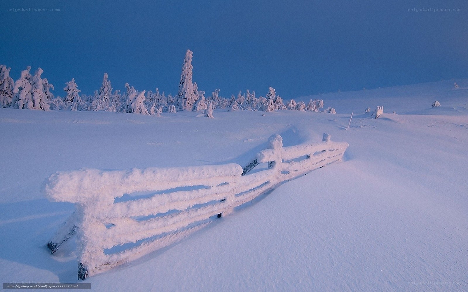 Snow-covered fence in winter landscape