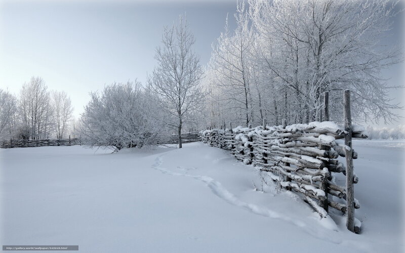 Snow-covered Fence in Winter — White, Serene